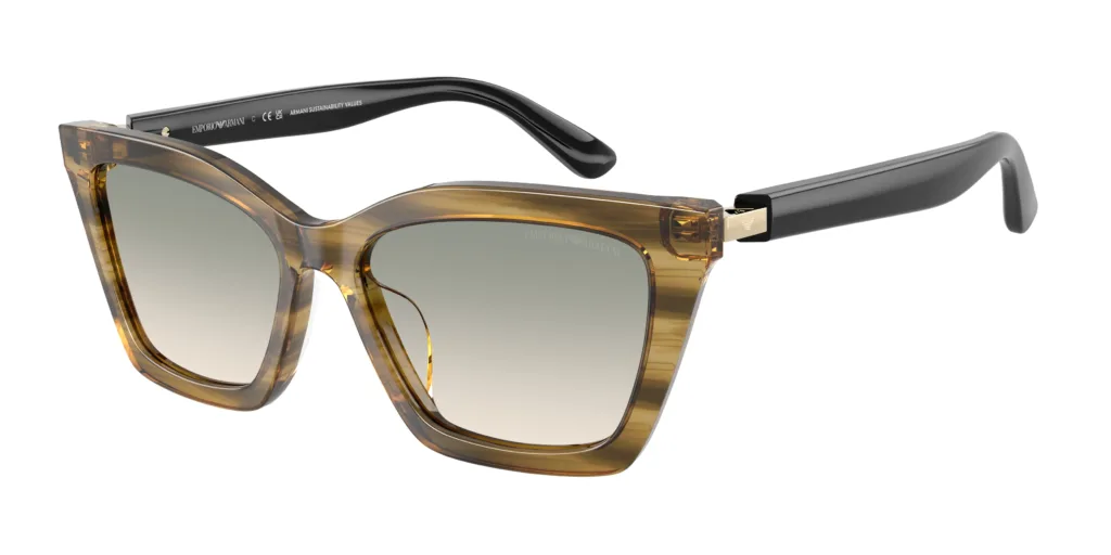 Occhiali da sole Emporio Armani EA4250U 62672C
