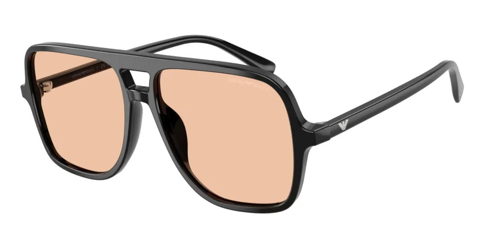Occhiali da sole Emporio Armani EA4252U 501793