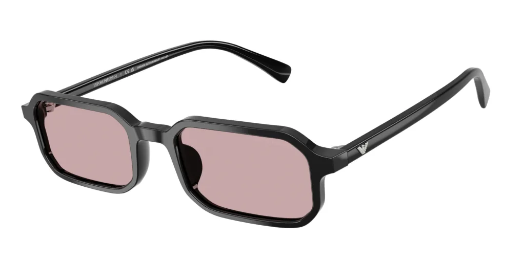 Occhiali da sole Emporio Armani EA4253U 501773