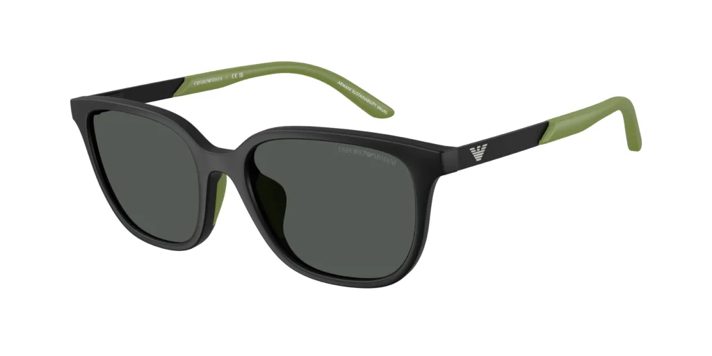 Occhiali da sole Emporio Armani EK4006U 500187