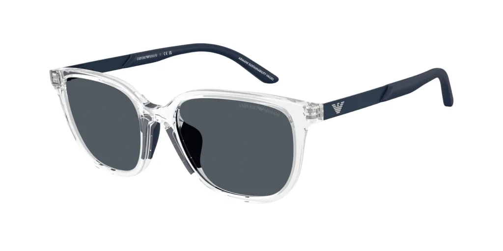 Occhiali da sole Emporio Armani EK4006U 589387