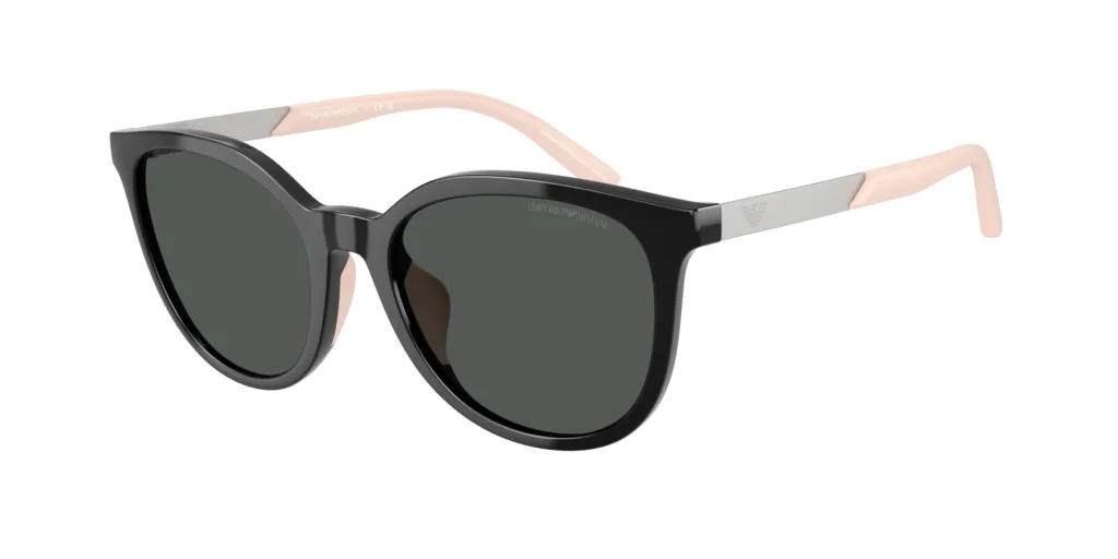Occhiali da sole Emporio Armani EK4007U 501787