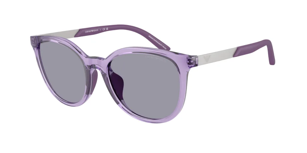 Occhiali da sole Emporio Armani EK4007U 628080