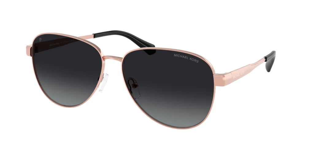 Occhiali da sole Michael Kors MK1160 1108T3 BIARRITZ