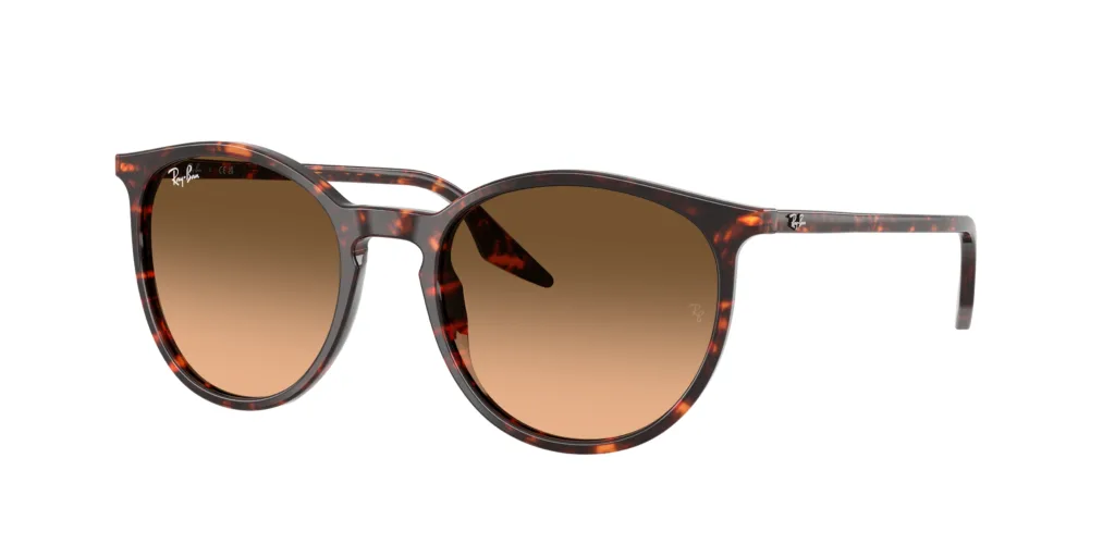Occhiali da sole Ray-Ban RB2204 14293B
