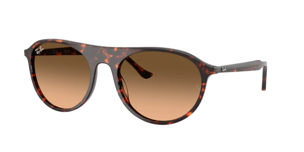 Occhiali da sole Ray-Ban RB2215 14293B