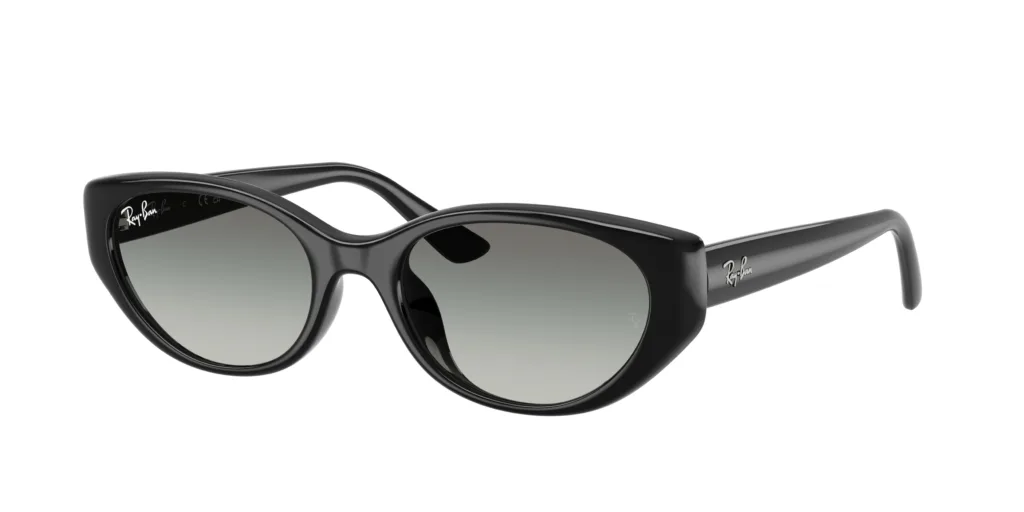 Occhiali da sole Ray-Ban RB4457D 667711