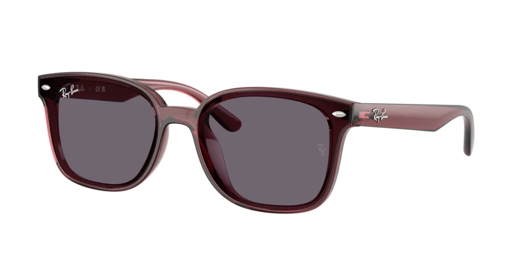 Occhiali da sole Ray-Ban RB4461D 659373
