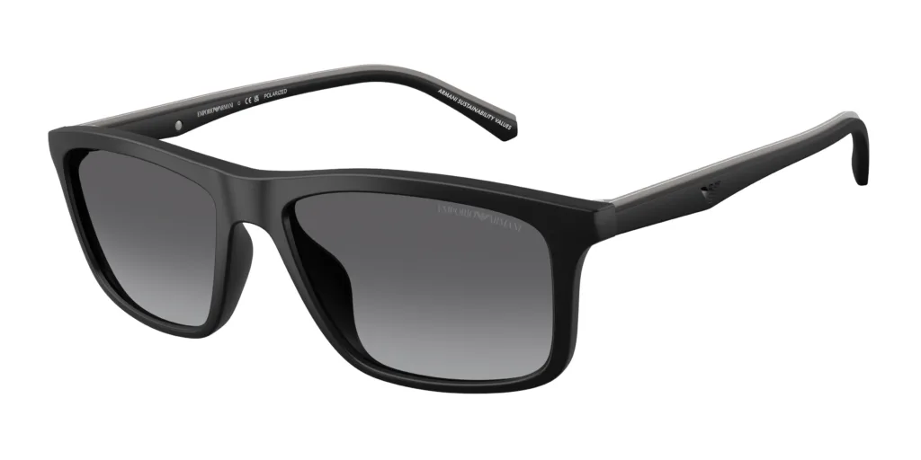Occhiali da sole Emporio Armani EA4257U 500181