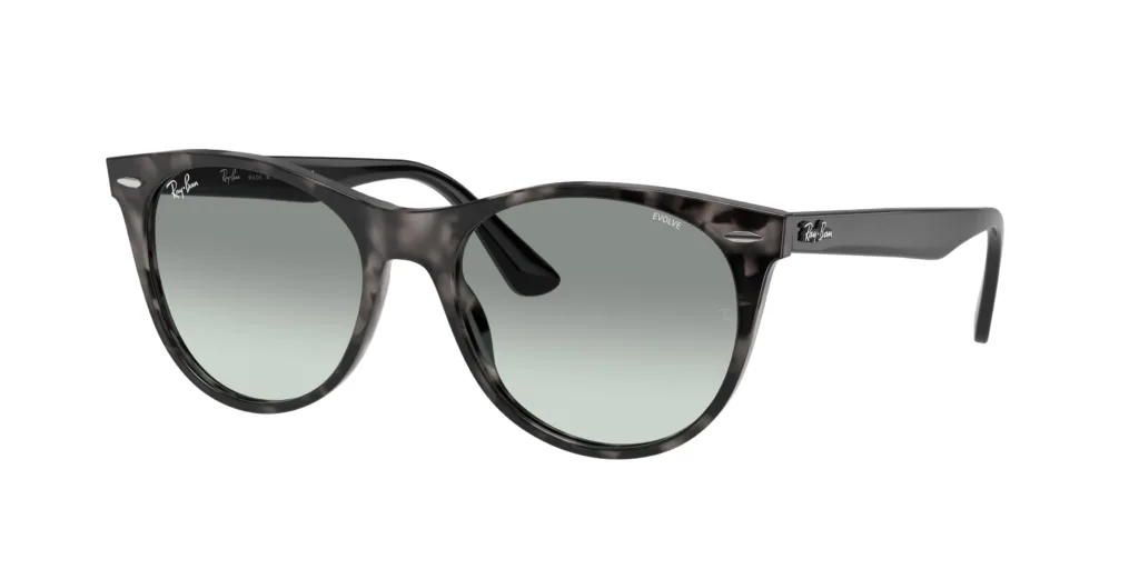 Occhiali da sole Ray-Ban RB2185 1250AD WAYFARER II