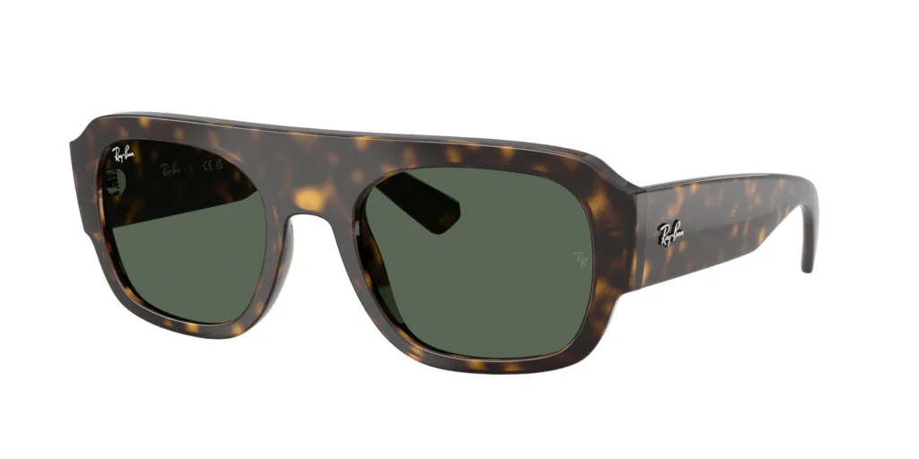 Occhiali da sole Ray-Ban RB2218 679071