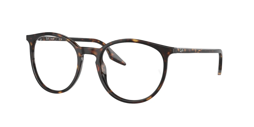 Occhiali da sole RAY-BAN RB2204 902/GJ
