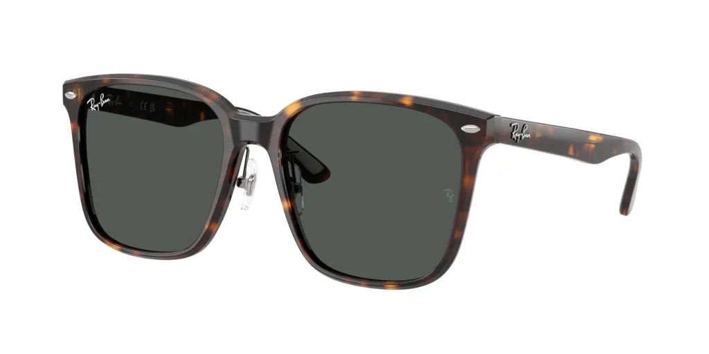 Occhiali da sole Ray-Ban RB2206D 710/87