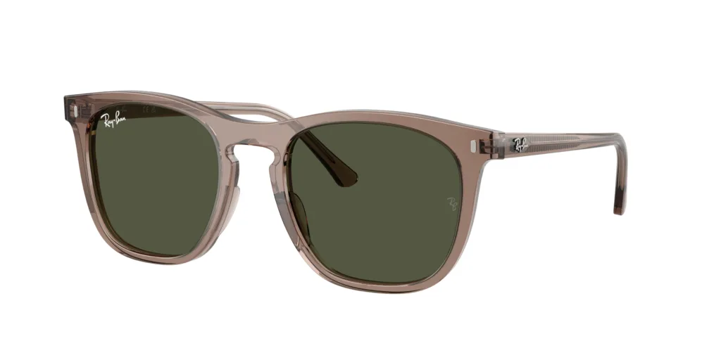 Occhiali da sole Ray-Ban RB2210 845731