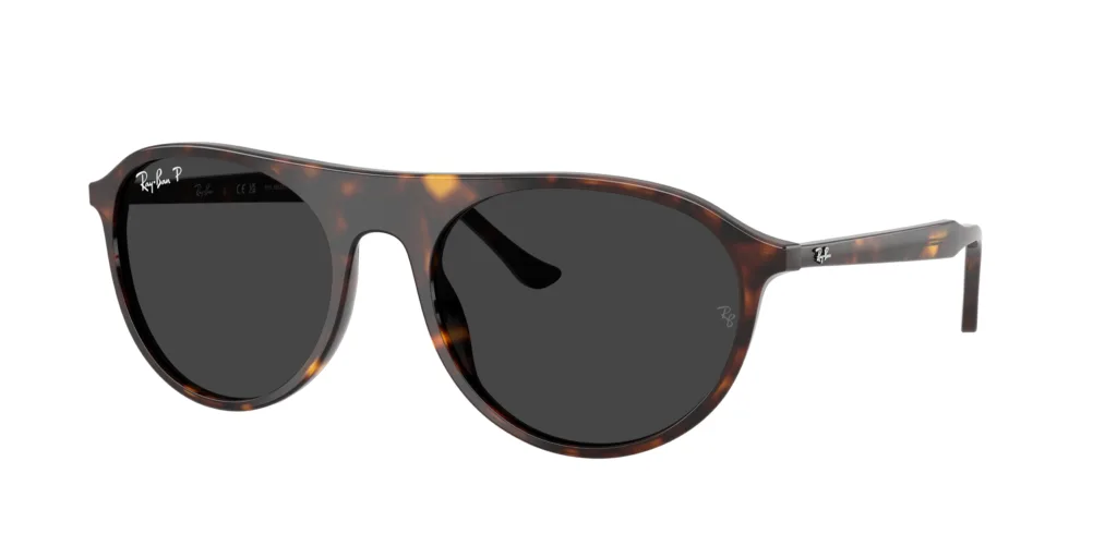 Occhiali da sole Ray-Ban RB2215 902/48