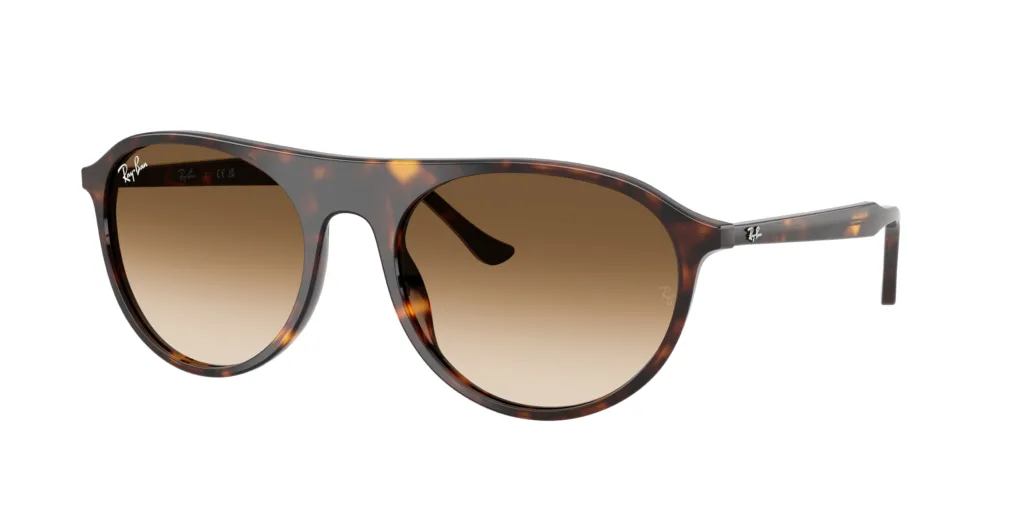Occhiali da sole Ray-Ban RB2215 902/51
