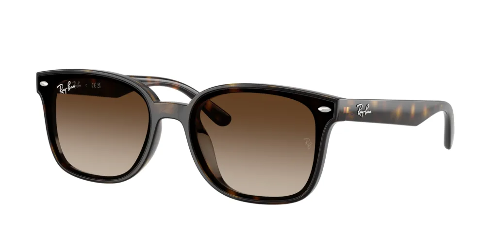 Occhiali da sole Ray-Ban RB4461D 710/13