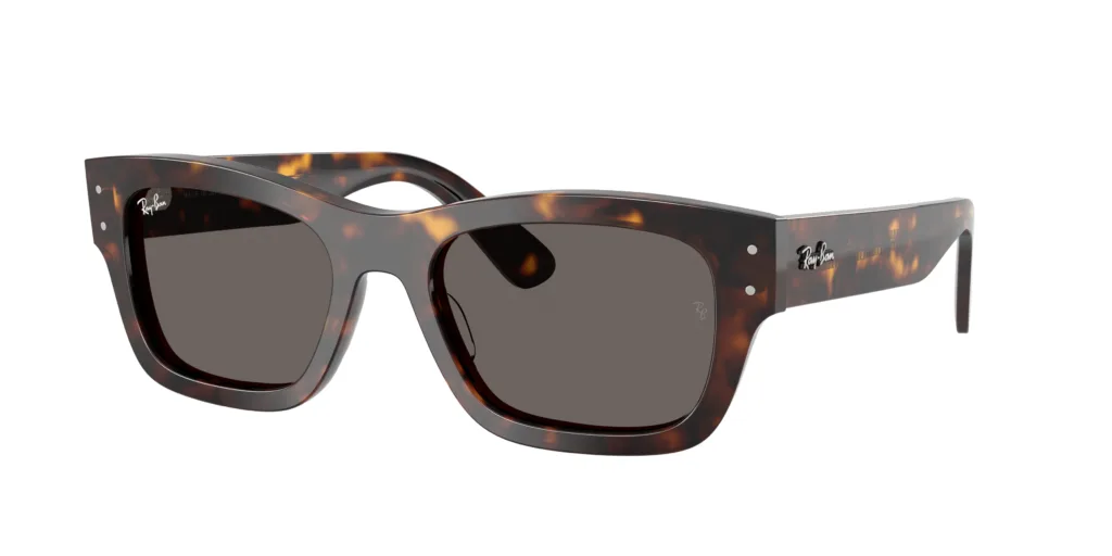 Occhiali da sole Ray-Ban RB7683S 902/B1 JOSEPH