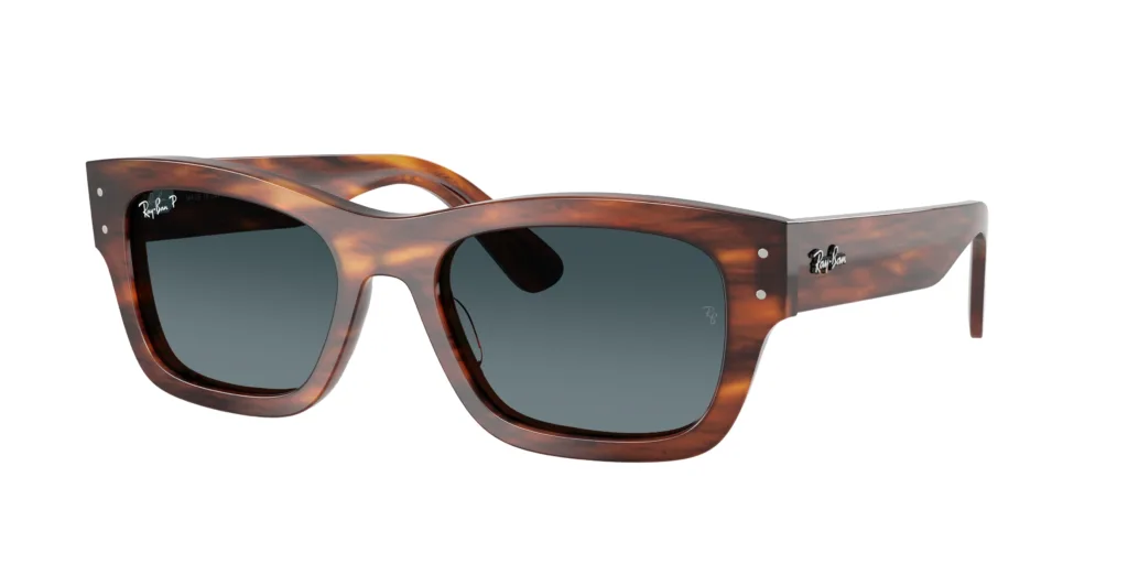 Occhiali da sole Ray-Ban RB7683S 954/S3 JOSEPH