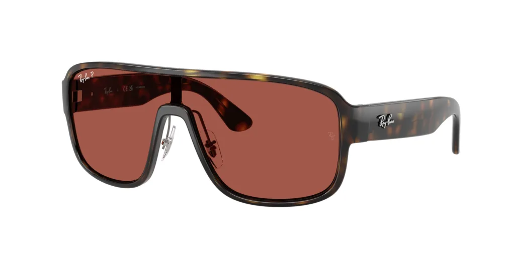 Occhiali da sole Ray-Ban RB2229 710/1B